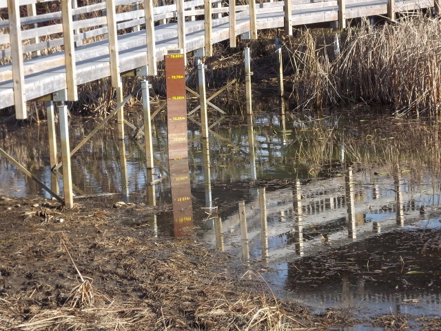 November Water Level. K Anderson 