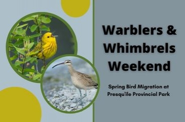 Warblers and Whimbrels Weekend 2026